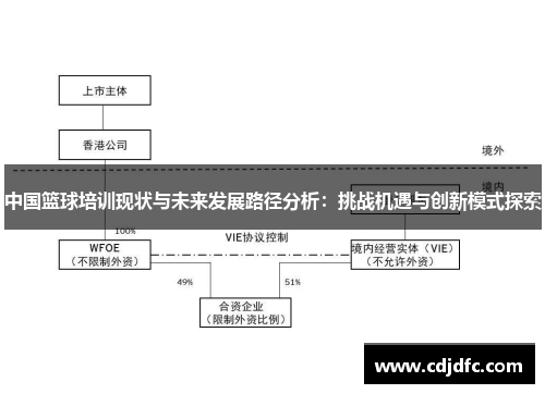 中国篮球培训现状与未来发展路径分析：挑战机遇与创新模式探索