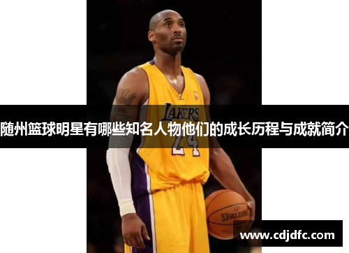 随州篮球明星有哪些知名人物他们的成长历程与成就简介
